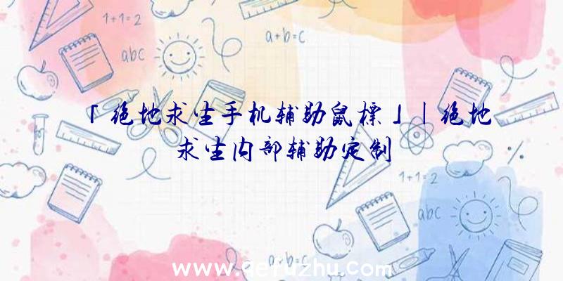 「绝地求生手机辅助鼠标」|绝地求生内部辅助定制